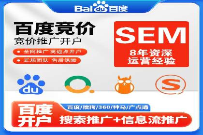 某品牌SEM推广策略的成效与启示