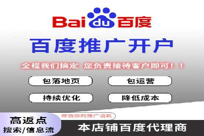 百度竞价价格优化，成功案例解析